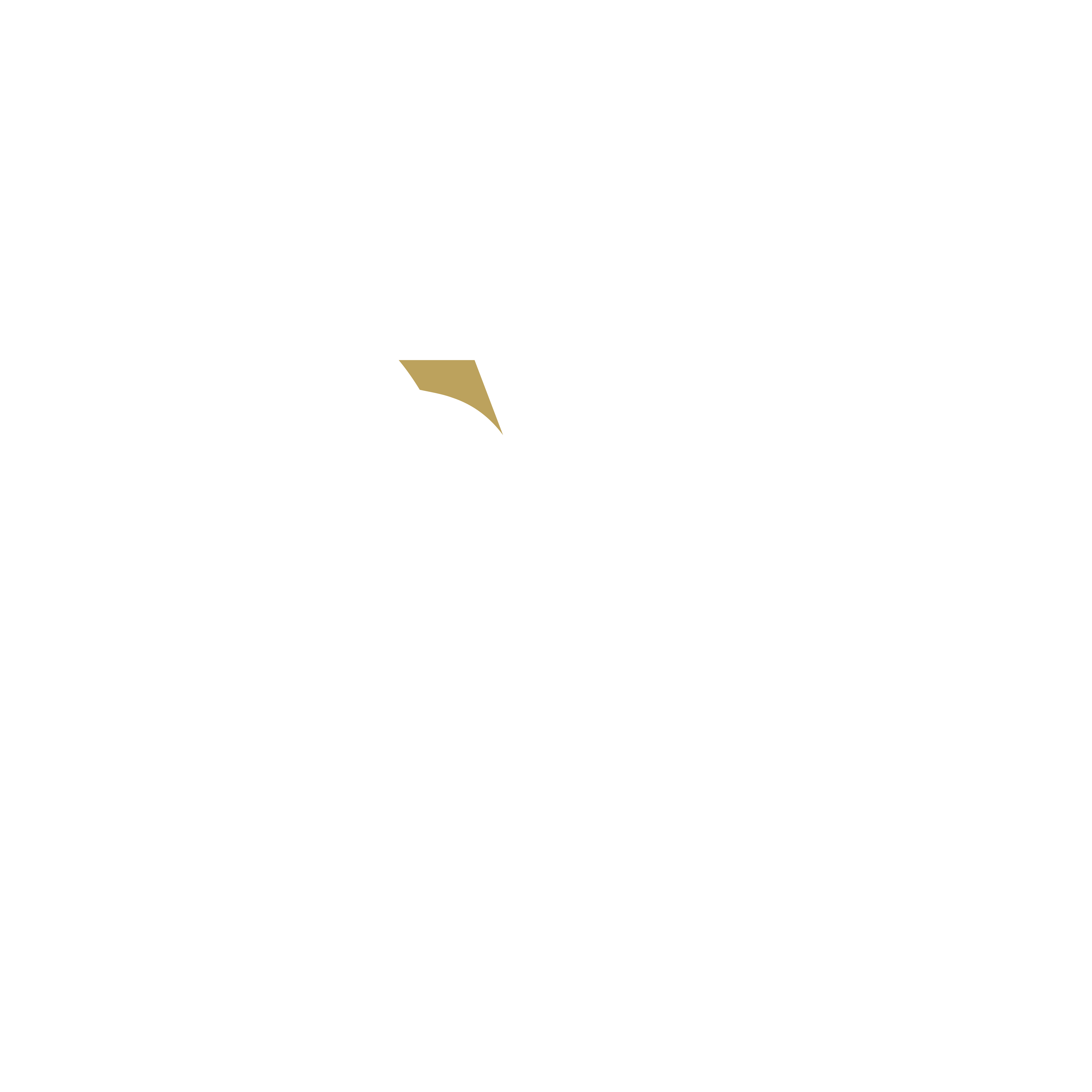 CVF